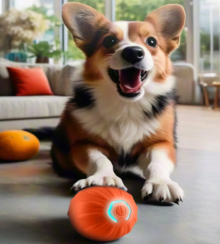 Pet Smart Jumping Ball,Interactive Dog Toys Dog Ball,Automatic Moving Bouncing Rotating Ball for Puppy/Small/Medium Dogs,Fun and Engaging Gifthi Toy, Suitable for Small and Medium-Sized Pets