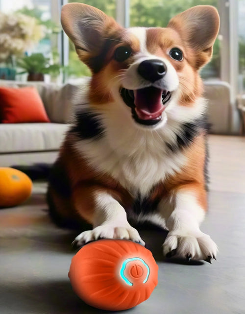 Load image into Gallery viewer, Pet Smart Jumping Ball,Interactive Dog Toys Dog Ball,Automatic Moving Bouncing Rotating Ball for Puppy/Small/Medium Dogs,Fun and Engaging Gifthi Toy, Suitable for Small and Medium-Sized Pets
