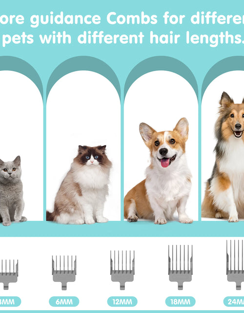 Load image into Gallery viewer, Professional 6-In-1 Dog Grooming Vacuum Kit - 11000PA High Suction &amp; 1.5L Large Capacity | 99% Hair Removal with Complete Grooming Tools | High Suction Pet Vacuum for Professional Grooming
