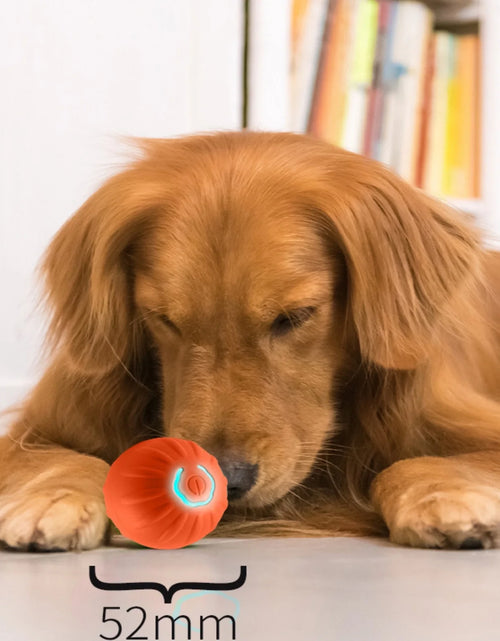 Load image into Gallery viewer, Pet Smart Jumping Ball,Interactive Dog Toys Dog Ball,Automatic Moving Bouncing Rotating Ball for Puppy/Small/Medium Dogs,Fun and Engaging Gifthi Toy, Suitable for Small and Medium-Sized Pets
