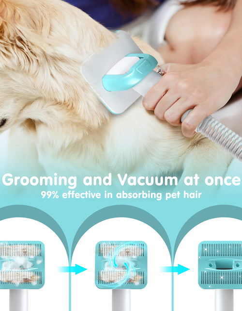 Load image into Gallery viewer, Professional 6-In-1 Dog Grooming Vacuum Kit - 11000PA High Suction &amp; 1.5L Large Capacity | 99% Hair Removal with Complete Grooming Tools | High Suction Pet Vacuum for Professional Grooming
